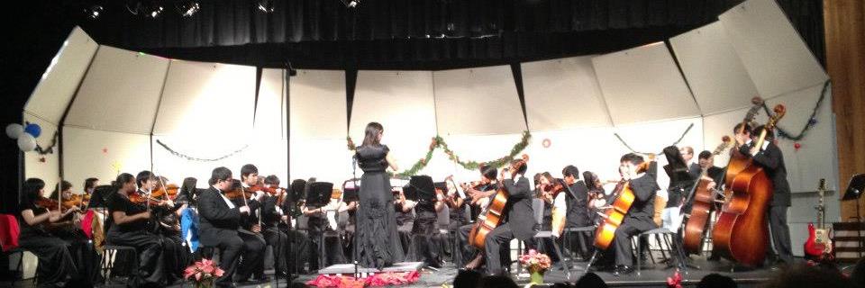 Orchestras of AHS banner