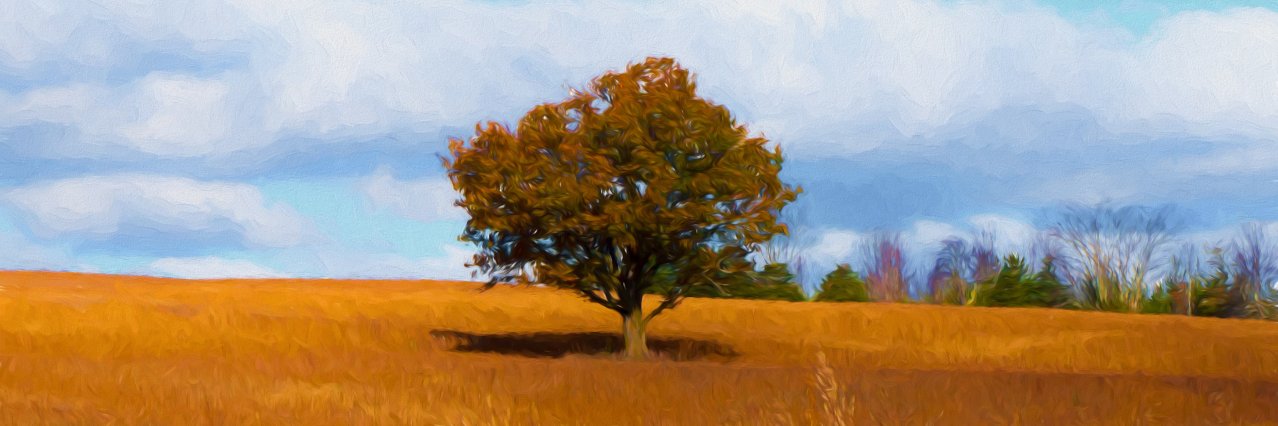 Chocoholic 🇨🇦 banner