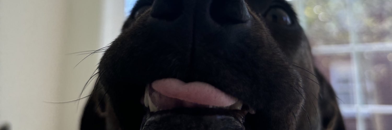 gracehendrix_'s profile banner image