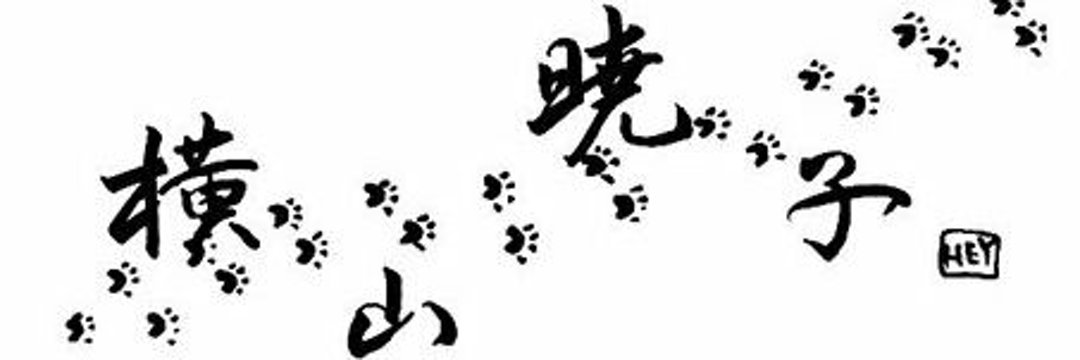yokoakipp's profile banner image