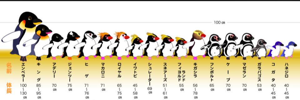 あんでぃサン banner
