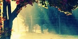 chief_dasom's profile banner image