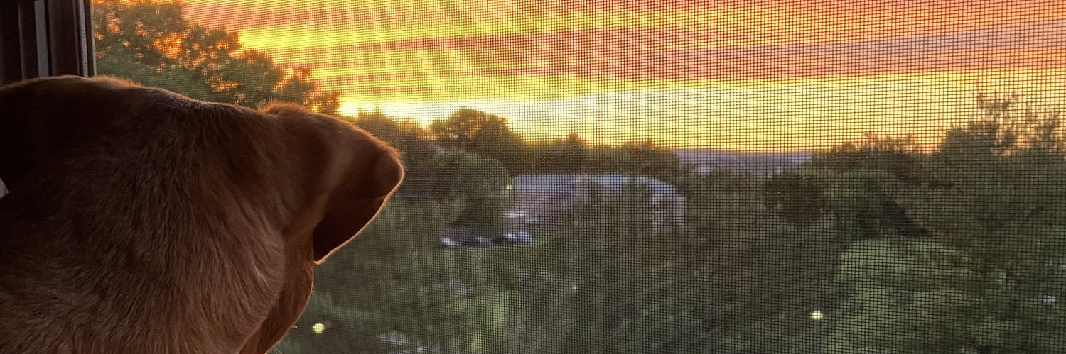 Zach Jacobson banner