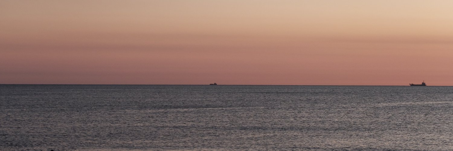 Paula Campos banner