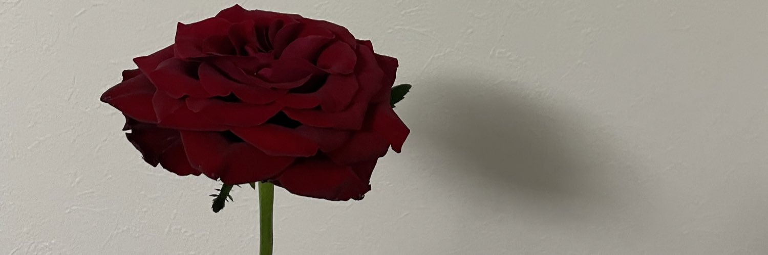 riino2000823's profile banner image