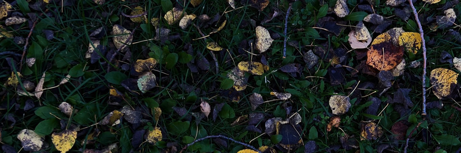 alia_ball's profile banner image