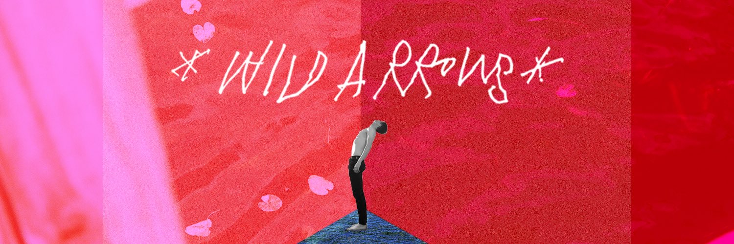 Wild Arrows banner