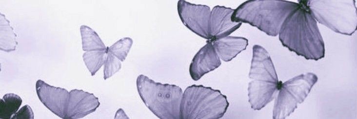 MlLKT34's profile banner image