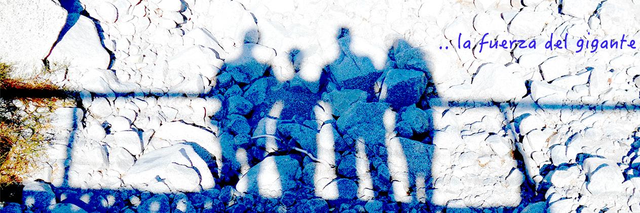 territoriosur banner