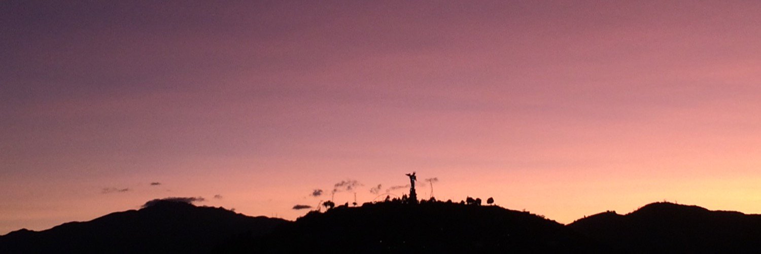 Sandra Naranjo banner