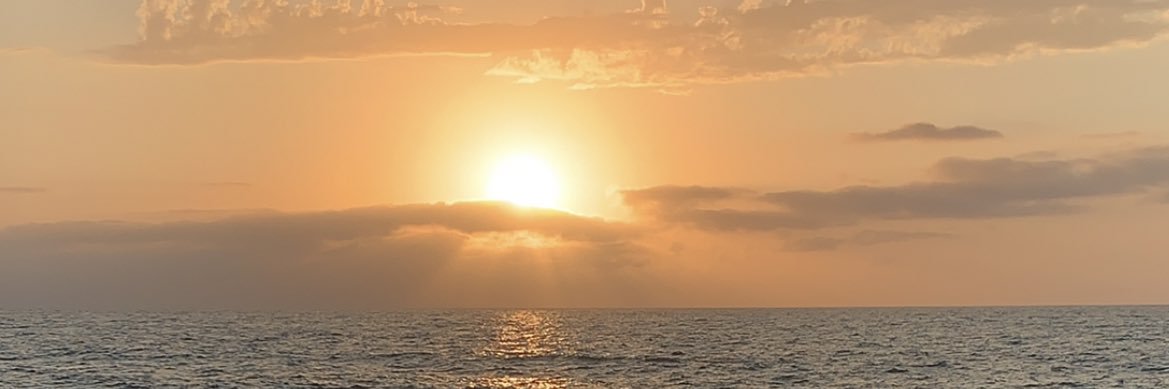 Spindleer's profile banner image