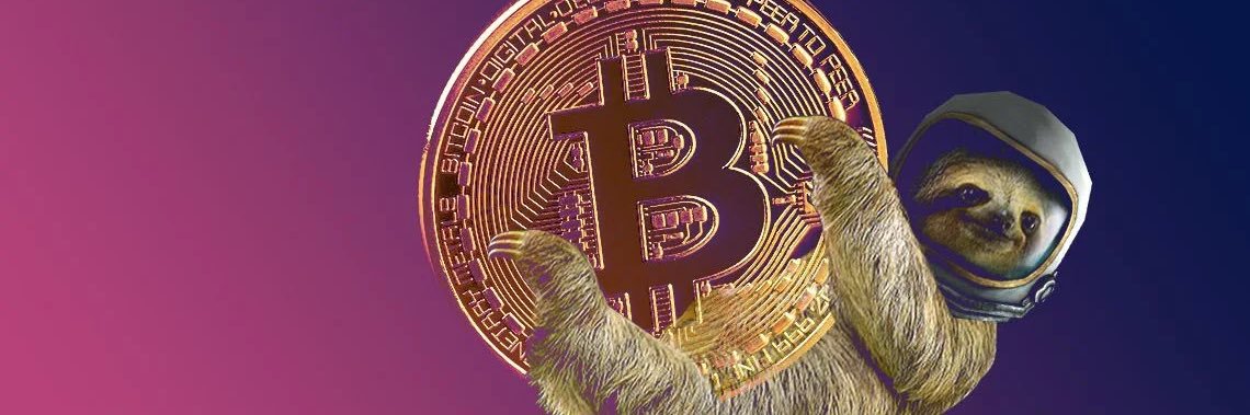 SlothAdvisor's profile banner image