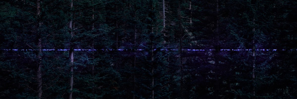 JennaMarti's profile banner image