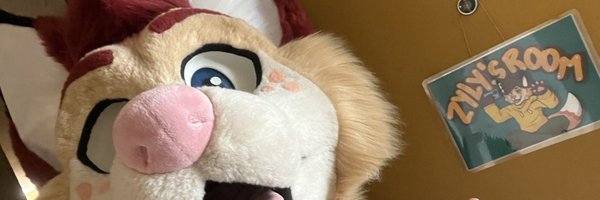 ZylyTheFox Profile Banner