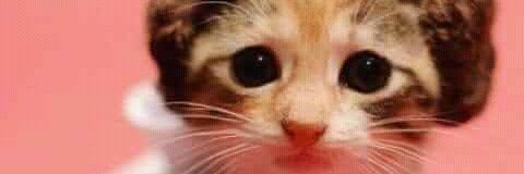 maicha espinoza❤💘 banner