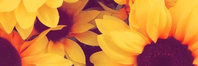 devisangie's profile banner image