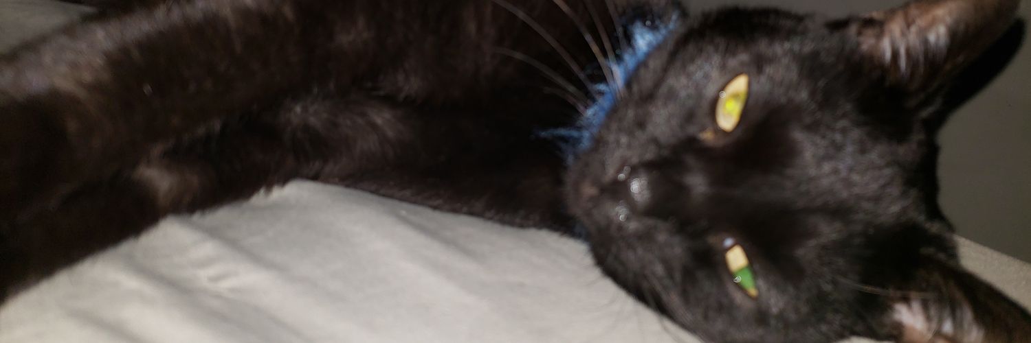 therealgroper's profile banner image