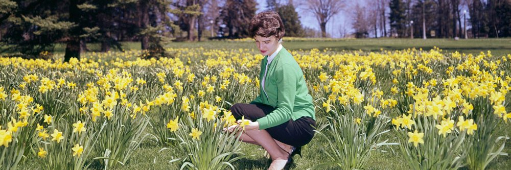 Library and Archives Canada banner