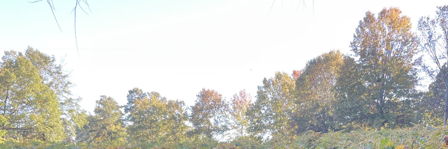 ublewitmarissa's profile banner image