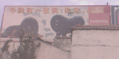 LunaJaureguiFL's profile banner image