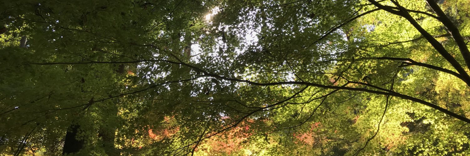 nktn62's profile banner image