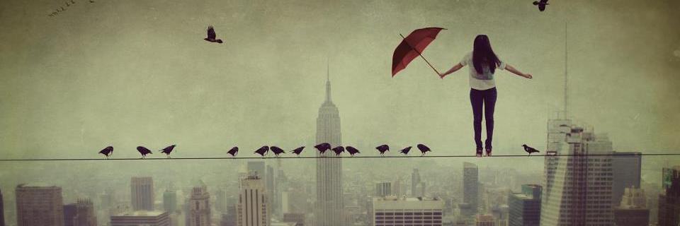 sofi28594's profile banner image