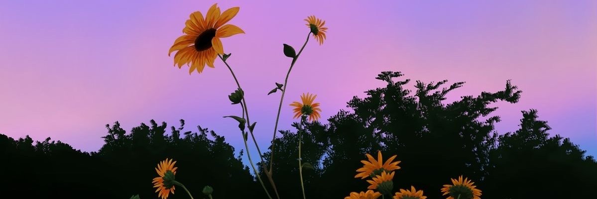 EJCC_'s profile banner image