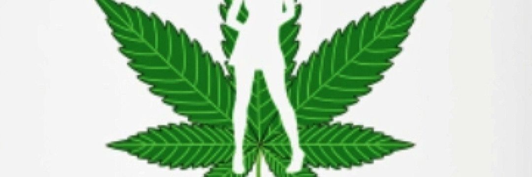 DandyDewie's profile banner image