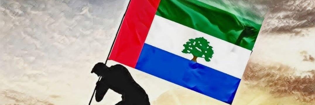 thaarali's profile banner image