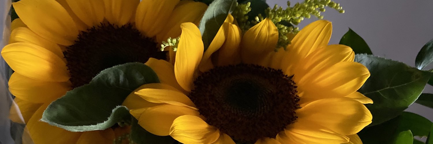 RafinhaDib's profile banner image