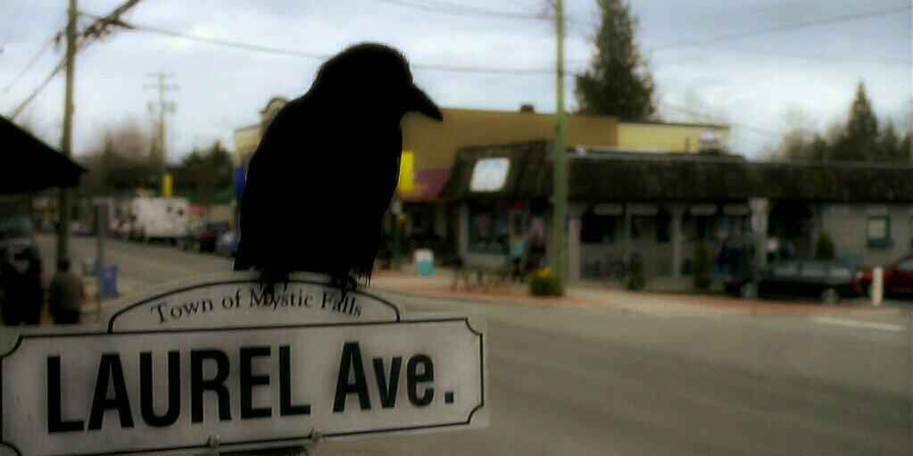 Damon Salvatore. // Parody banner