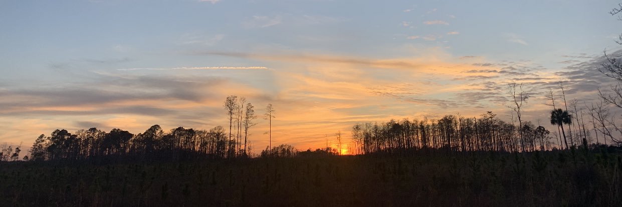 TraceCassidy1's profile banner image