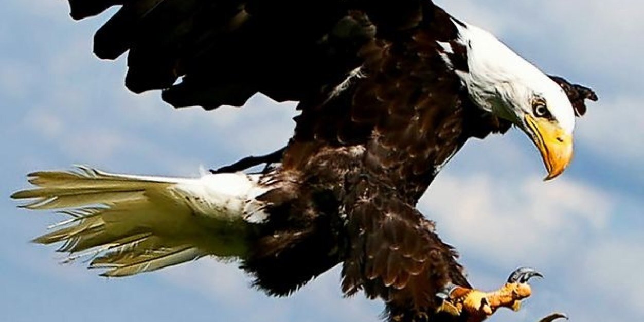 🇹🇷🇹🇷🇹🇷cemoka🇹🇷🇹🇷🇹🇷 banner