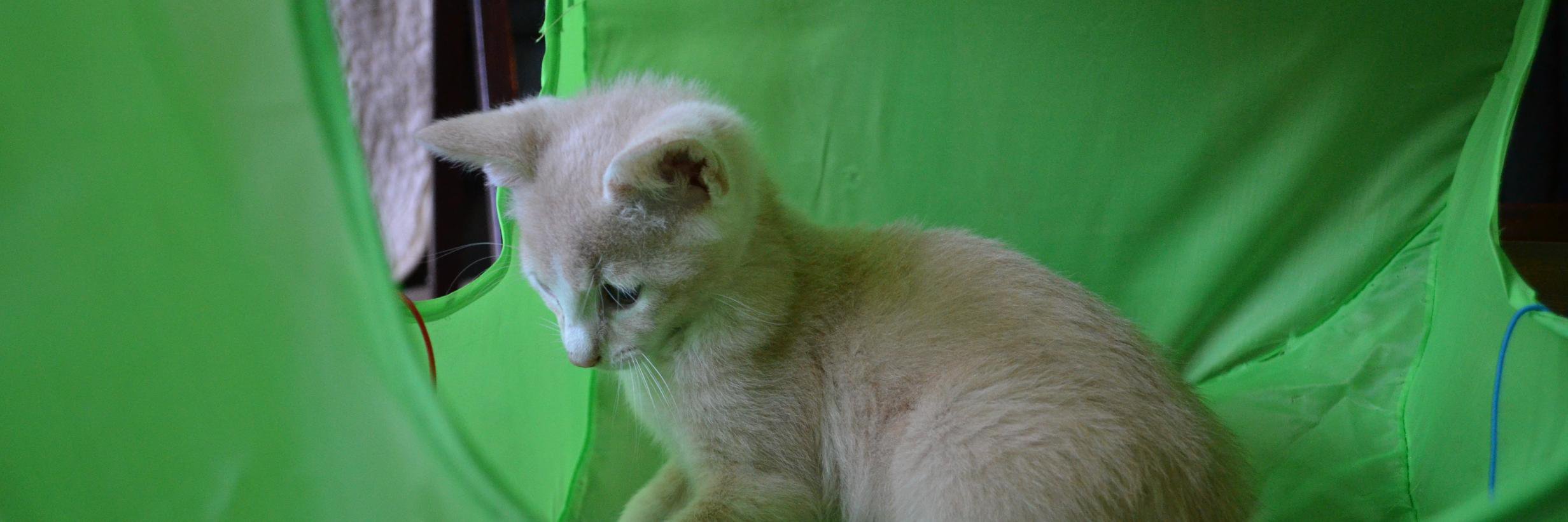 oilix's profile banner image