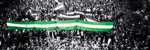 manolopezzi Profile Banner