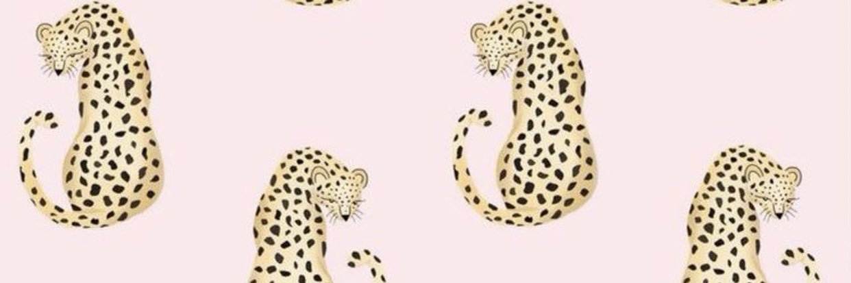 anna_younes's profile banner image