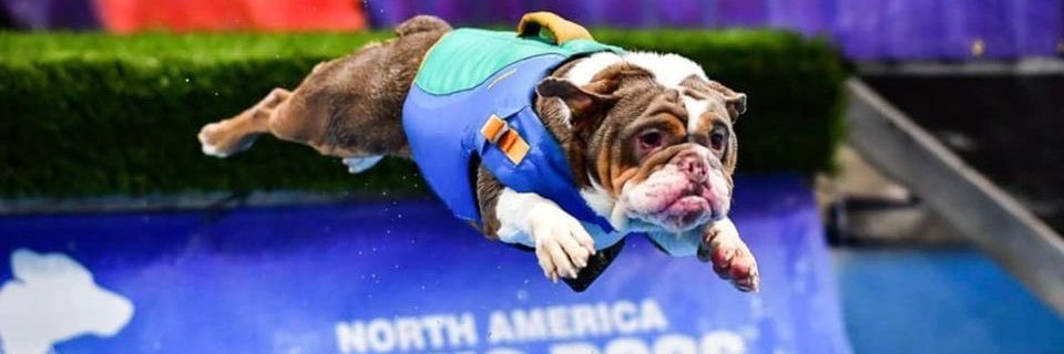 Peter Venkman banner