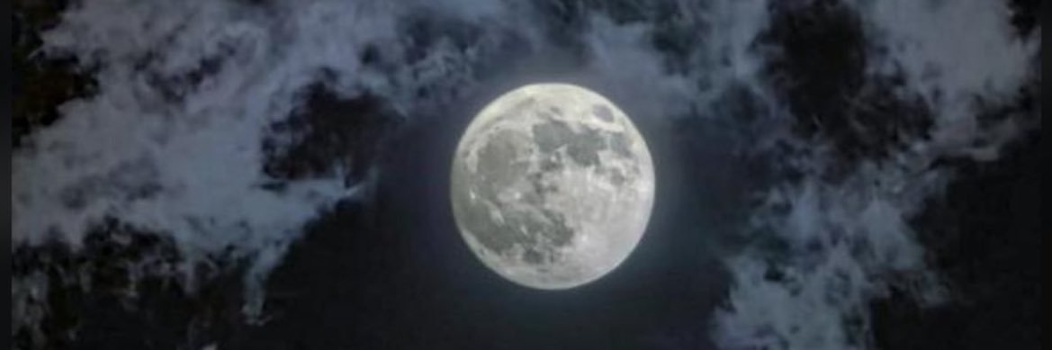 N10N86's profile banner image