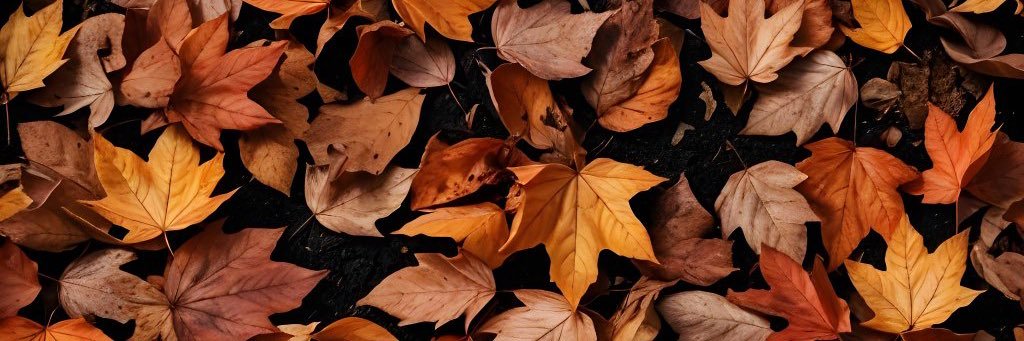 CheyenneWorgull's profile banner image