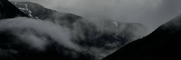 treetahp Profile Banner