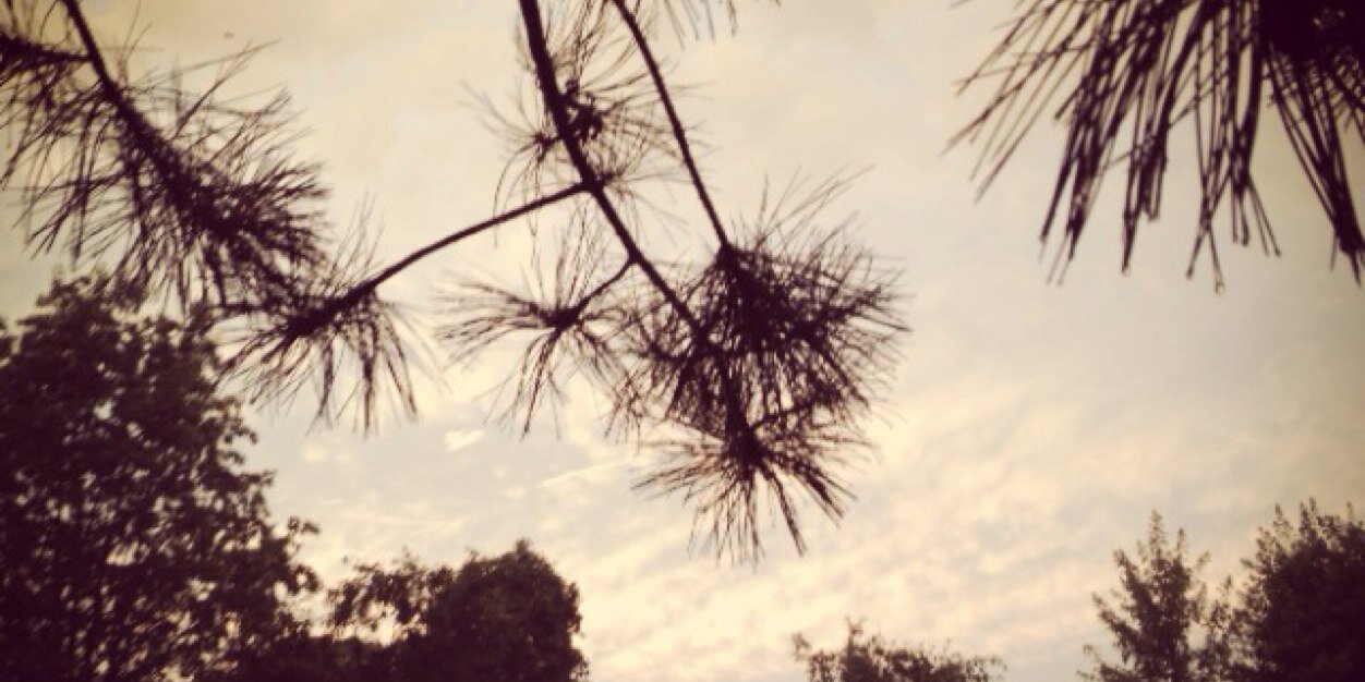KarinBergquist's profile banner image