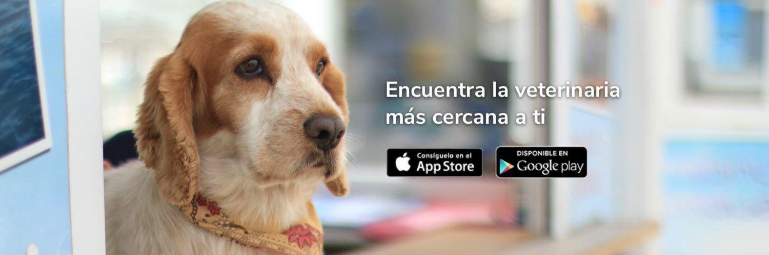 VetsAppCo's profile banner image