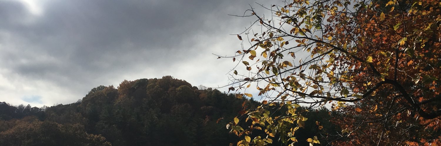 Tripppy44's profile banner image