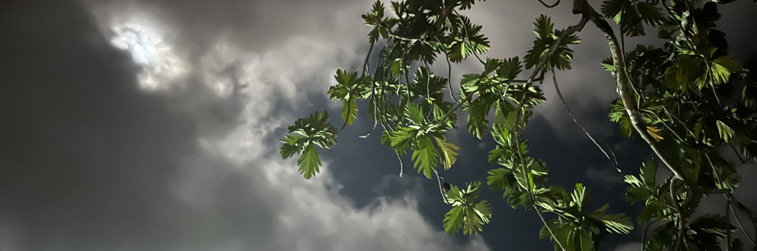 ggrecog's profile banner image