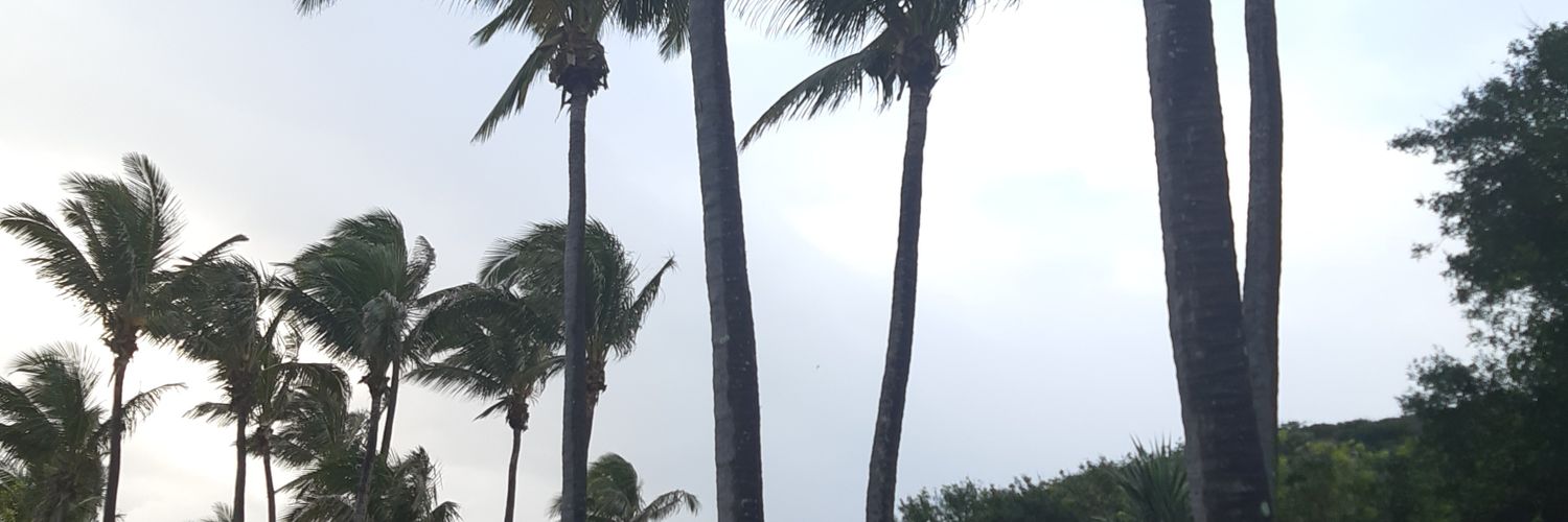 vincentius84's profile banner image
