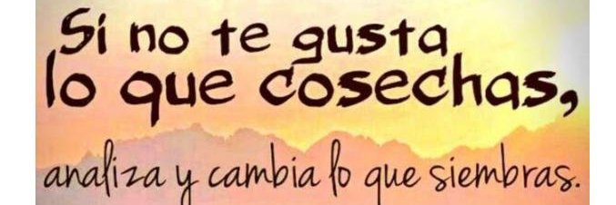 luise banner