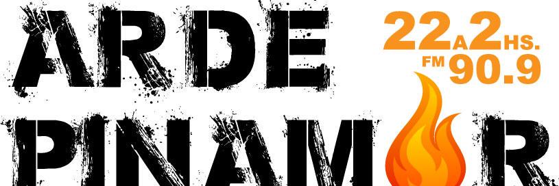 ArdePinamar's profile banner image