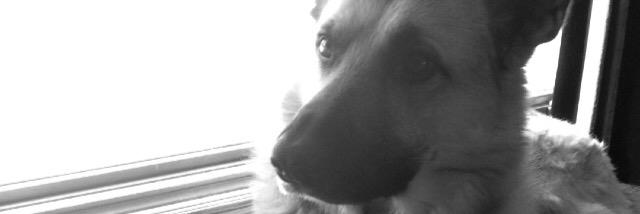 _ellen_learch_'s profile banner image