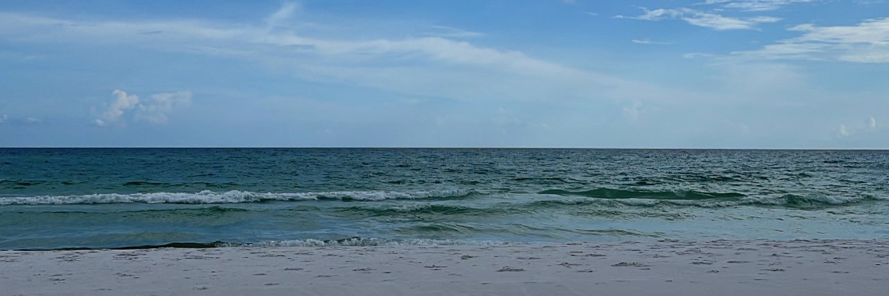 Gabriela Gross banner