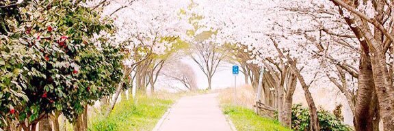 nada963741's profile banner image